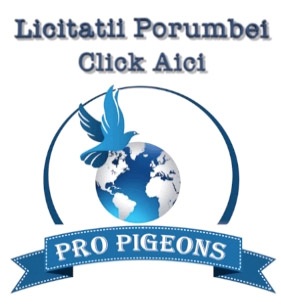Pro Pigeons Partner