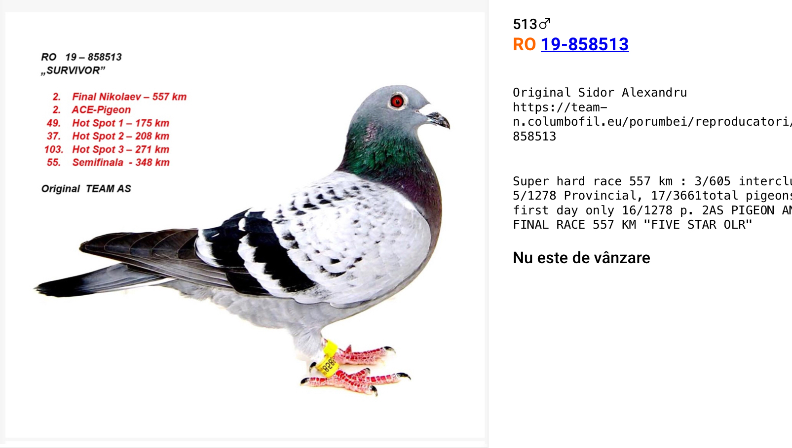 RO-20-552098 RO-20-552098