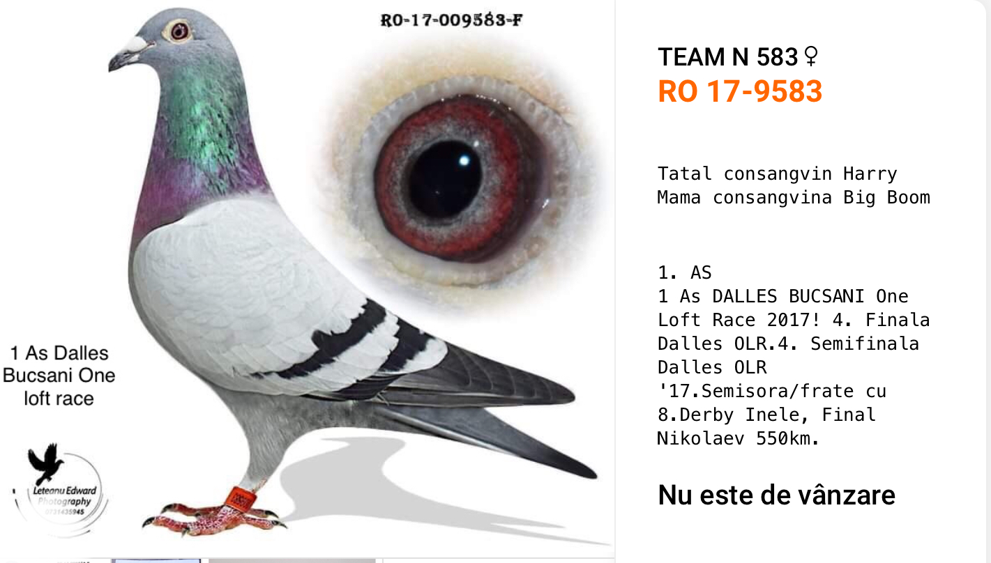 RO 18-1003778 RO 18-1003778