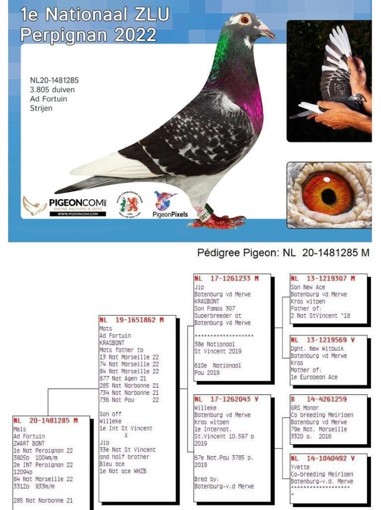 RO 23-0144599 RO 23-0144599