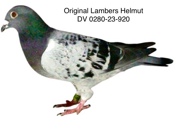 DV 23-2820-0920
