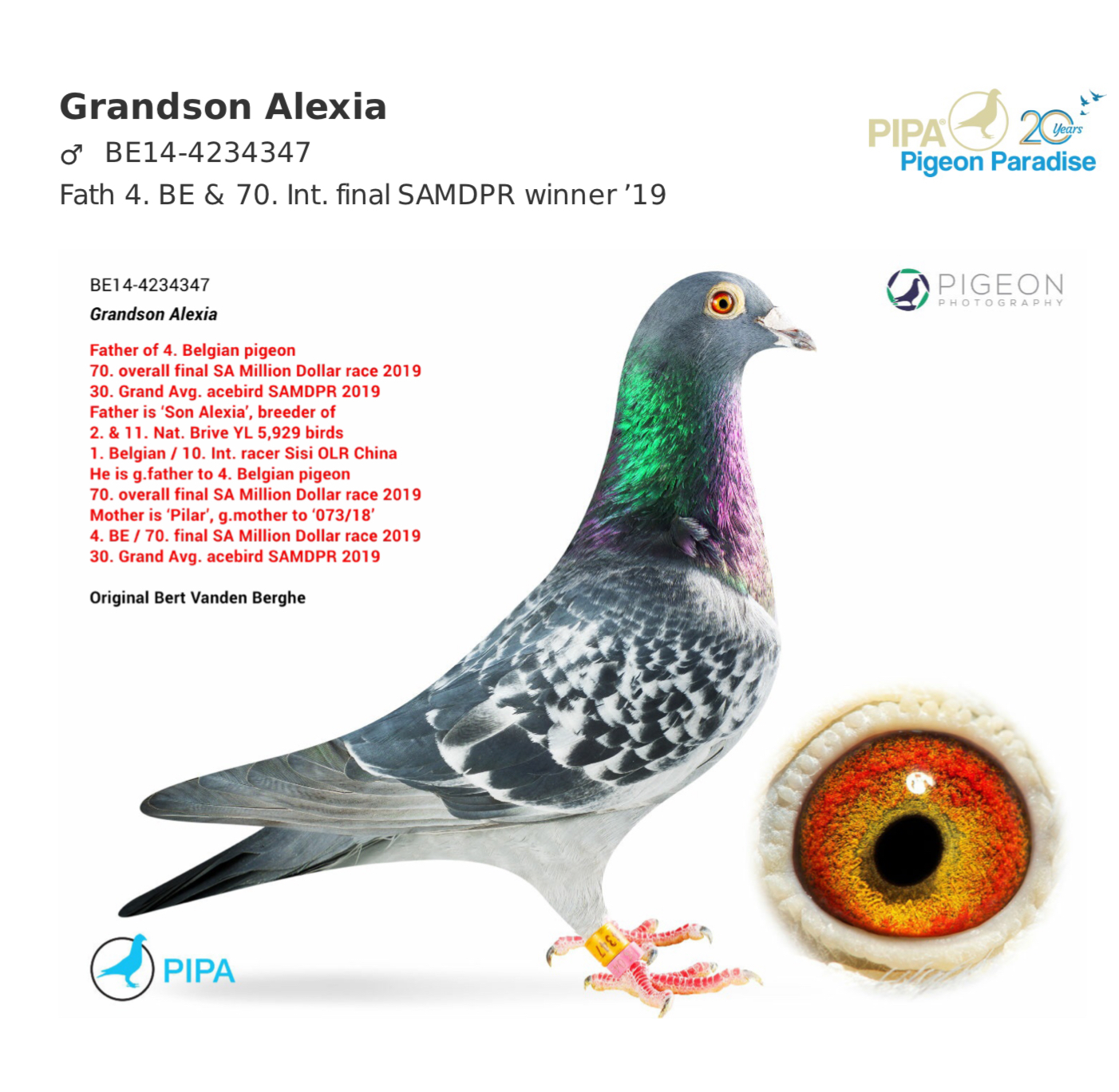 RO 20-660983 RO 20-660983