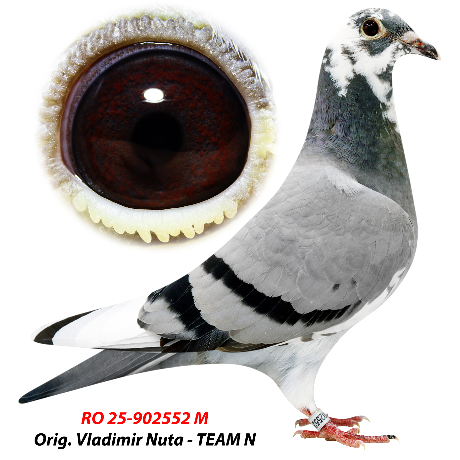 RO 25-0902552