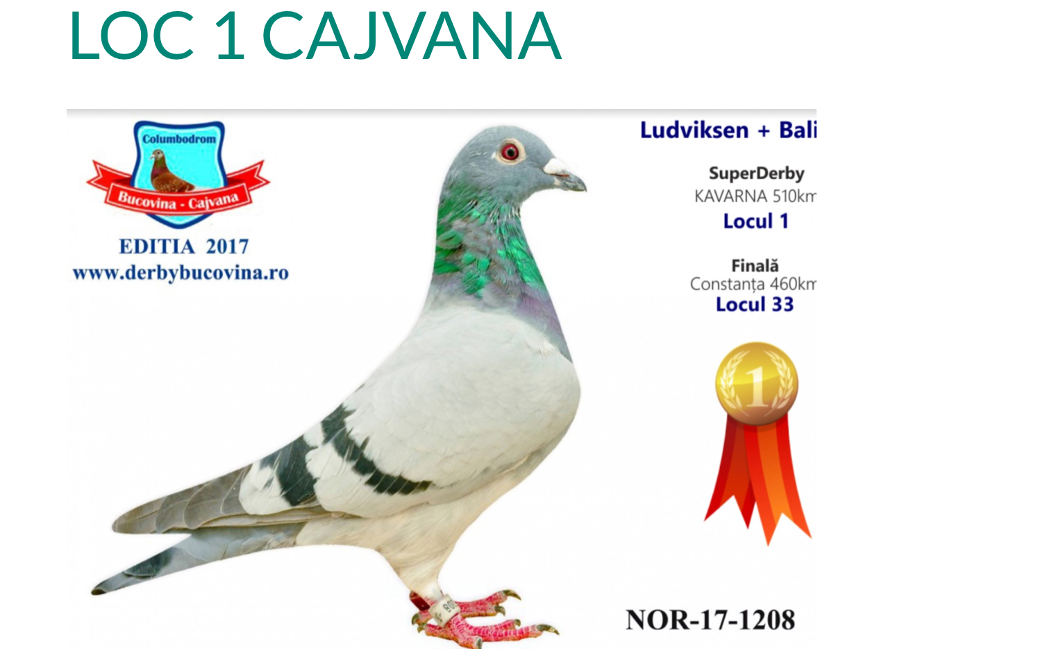 RO 20-486765 RO 20-486765