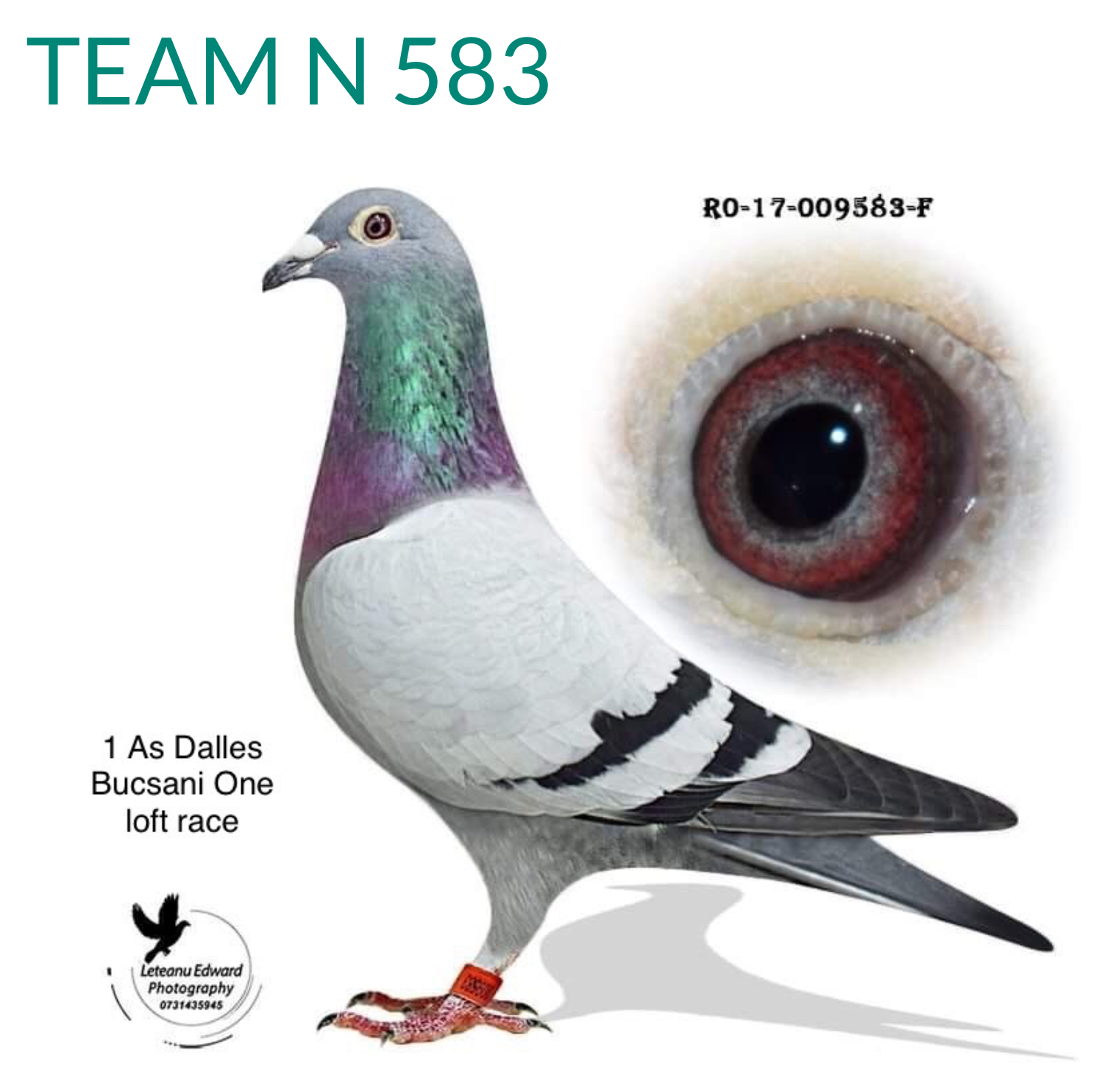 RO 20-660993 RO 20-660993