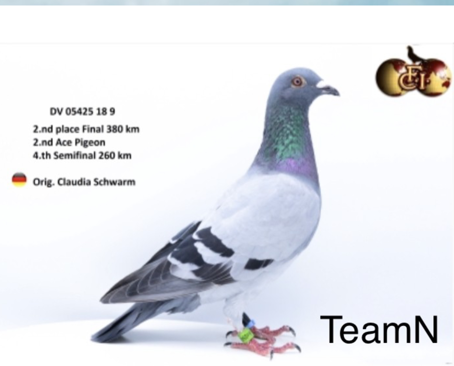 RO 20-486735 RO 20-486735