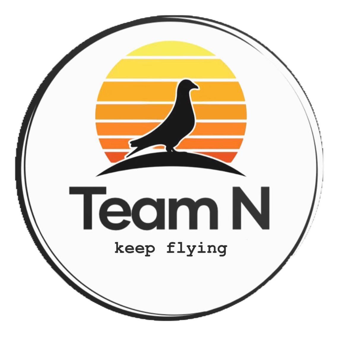 LICITAȚIE TEAM N