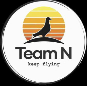 LICITATIE TEAM N